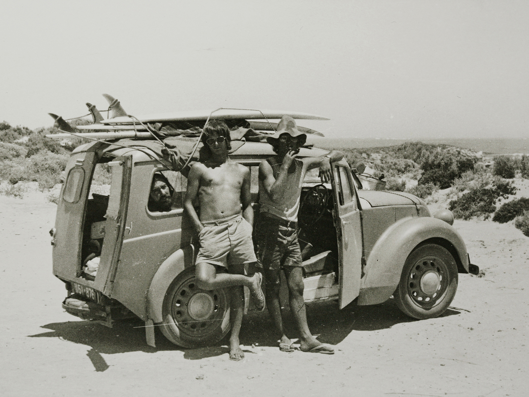 John Ogden - Cactus, c.1973