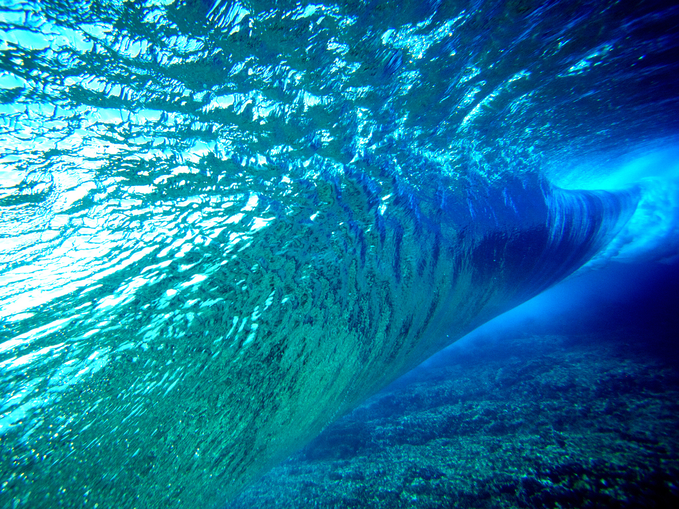 A.J Neste - Photographer