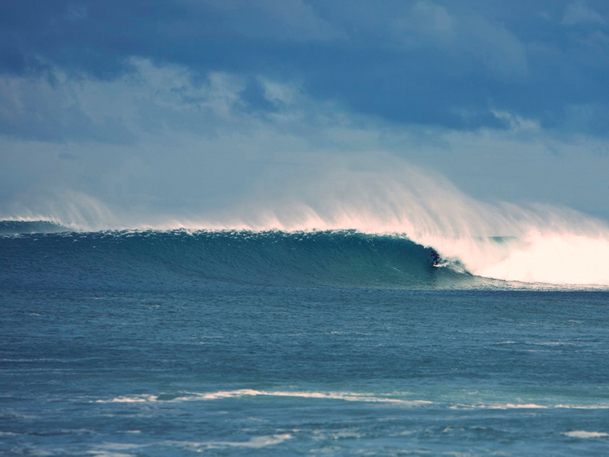 Photo by Willem-Dirk du Toit