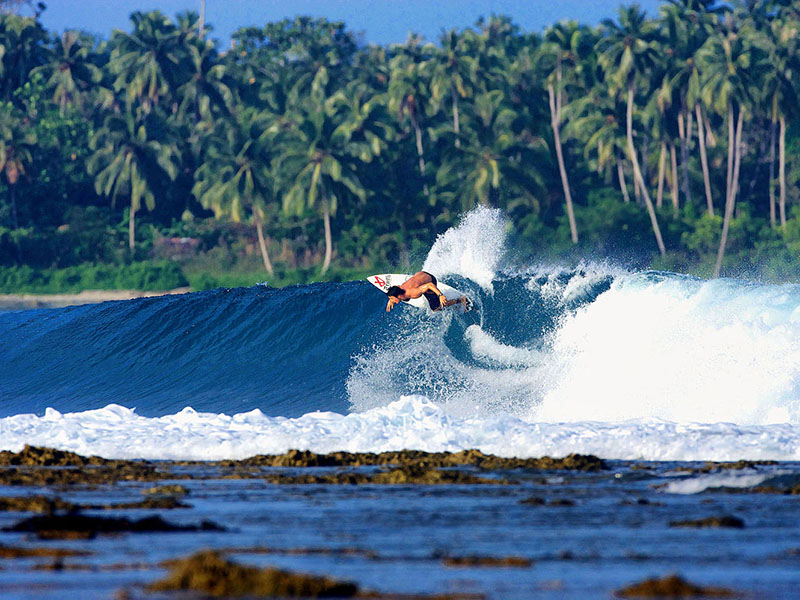 A.J Neste - Photographer