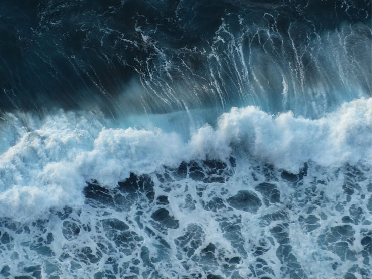 Pursuing Passion Projects Leads To New Career Path