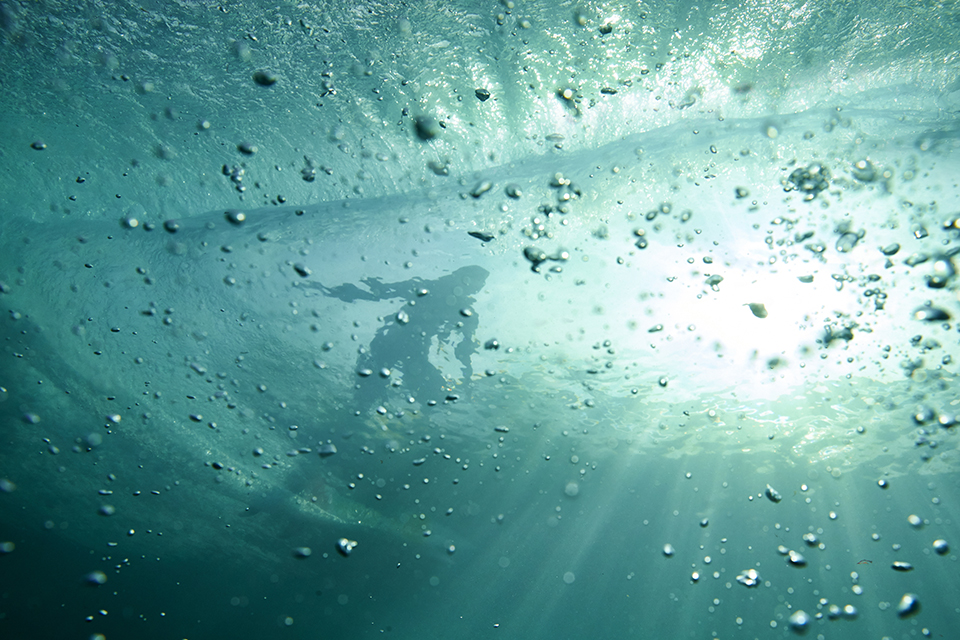 Photo by Willem-Dirk de Toit