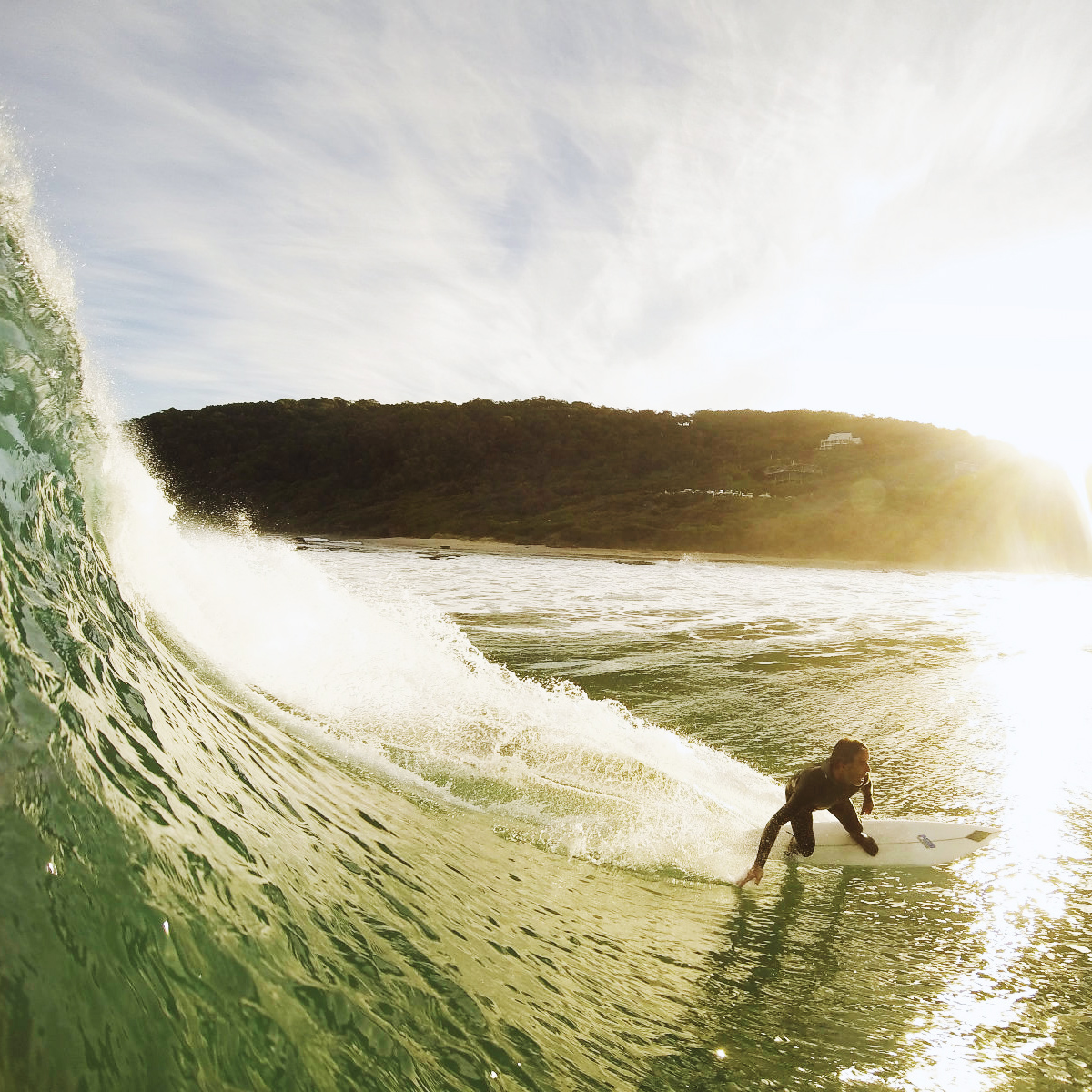 Photo by Willem-Dirk du Toit