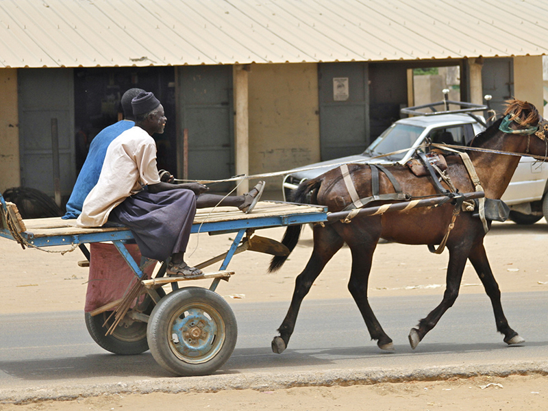 Nate Zoller - Photographer