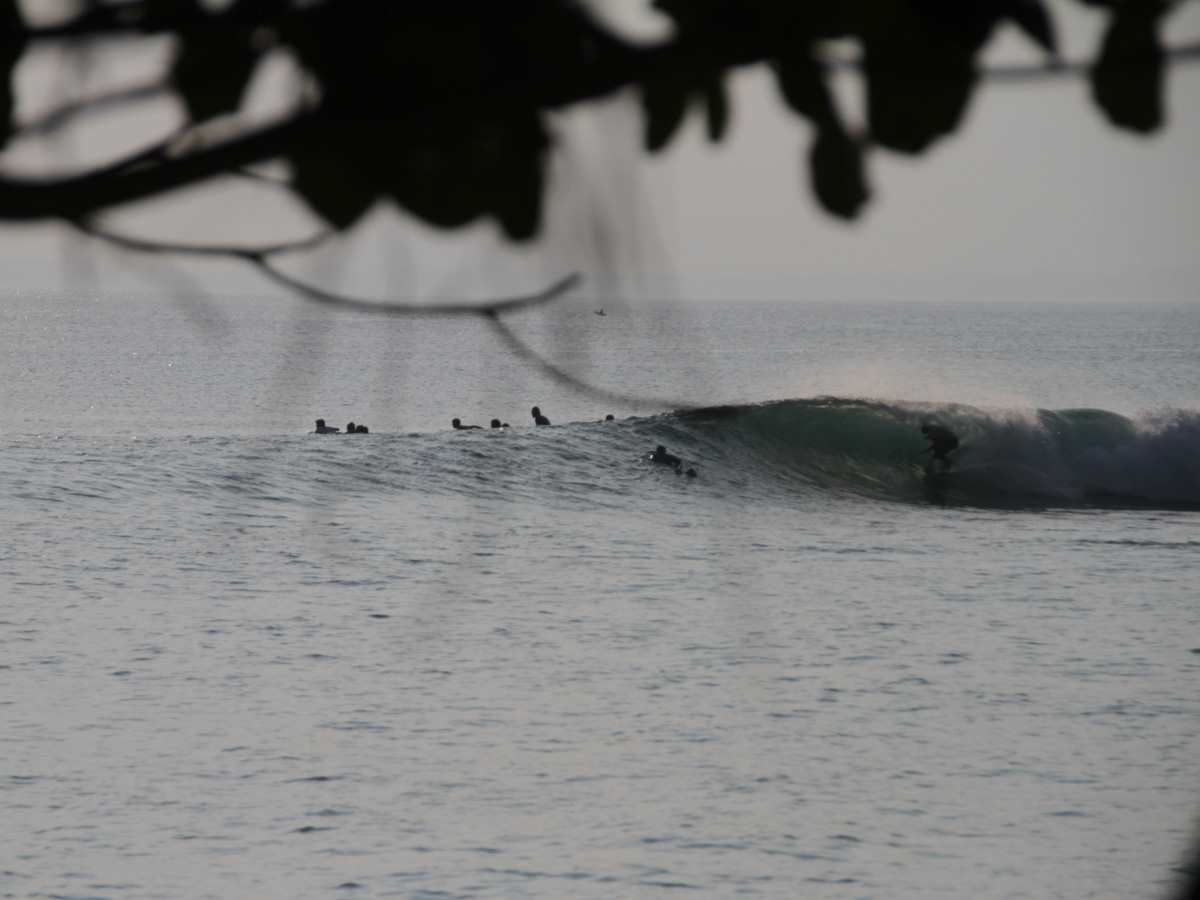 Blake Mcdonald photo by Tom Pearsall