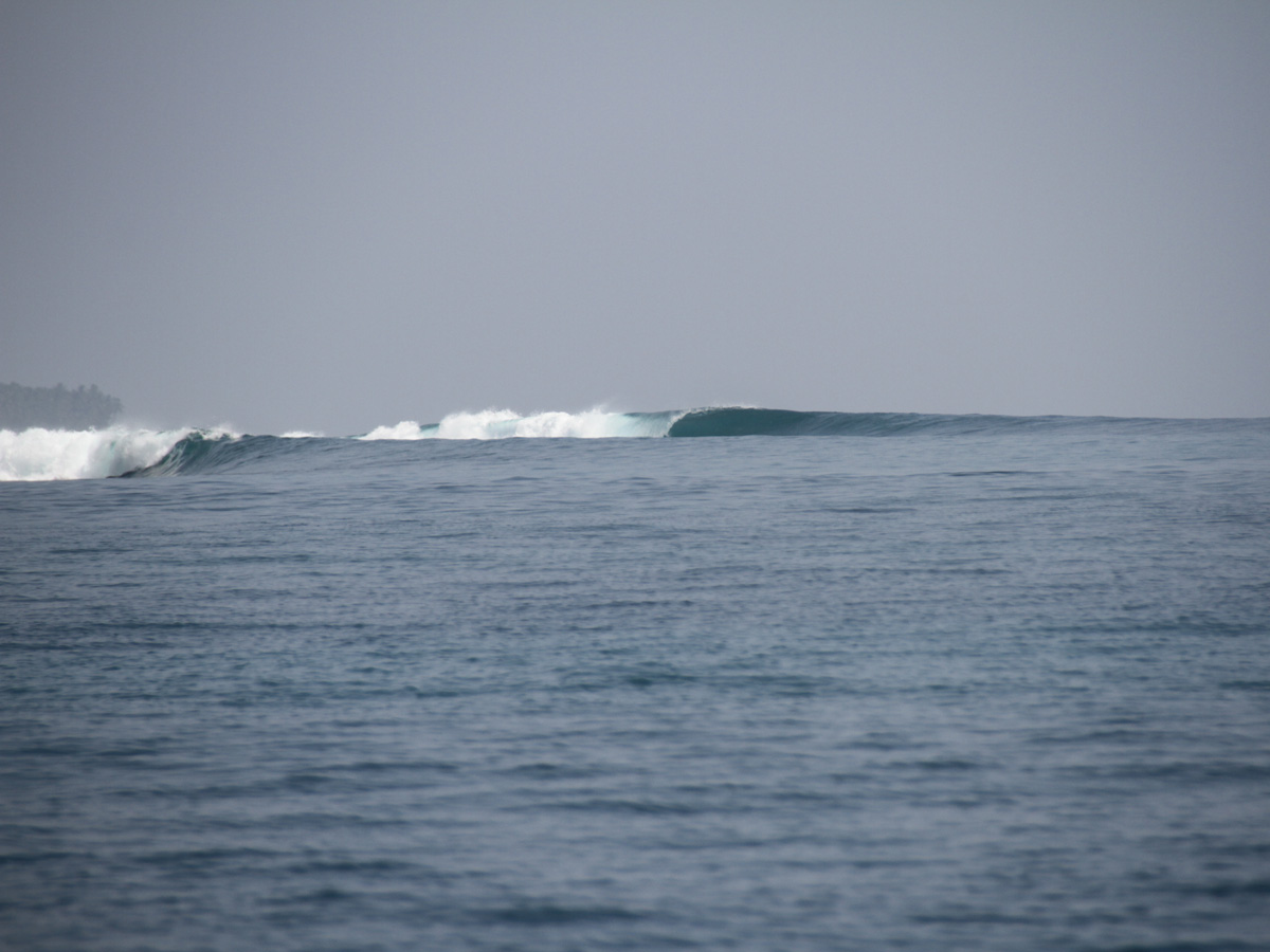 Blake Mcdonald photo by Tom Pearsall