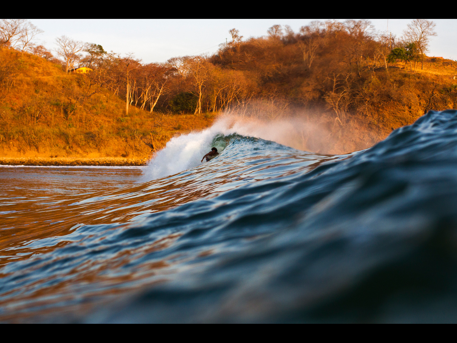 Textures ~ Gary Parker