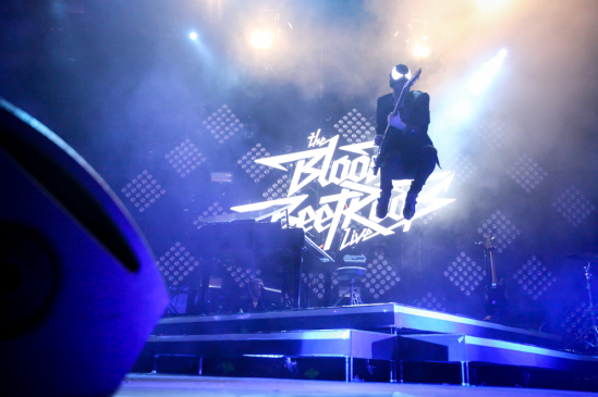 The Bloody Beetroots ~ Photo by Lincoln James