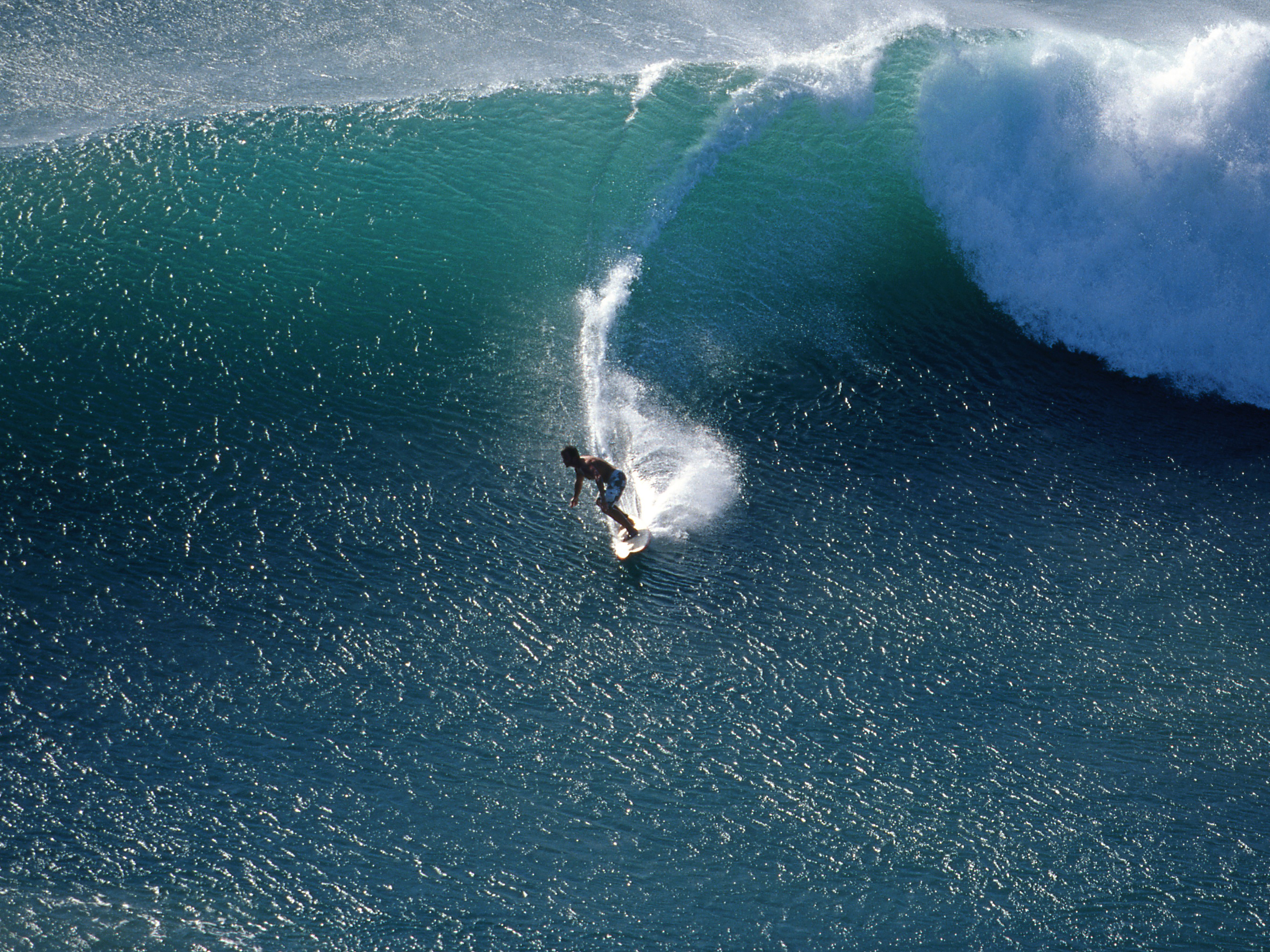 Tim Baker - Writer/ Journalist