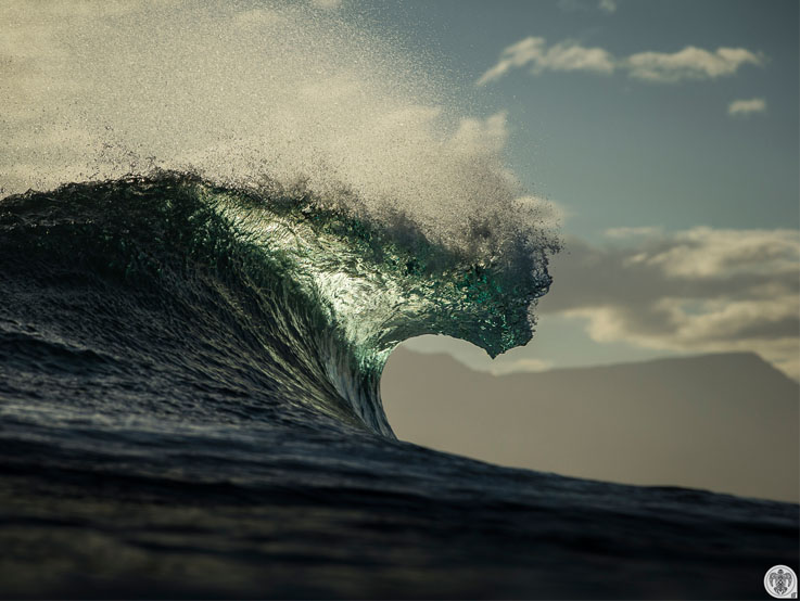 Protect Punta De Lobos Project by Save The Waves