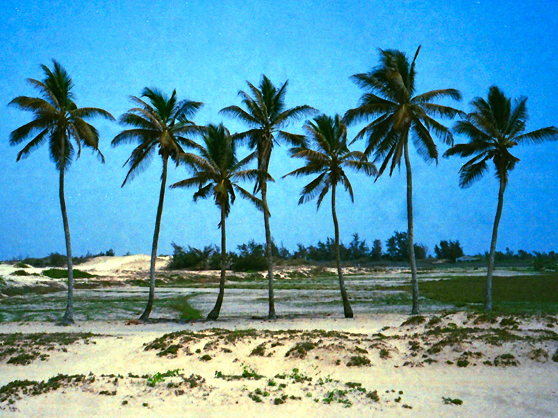 Nate Zoller - Photographer