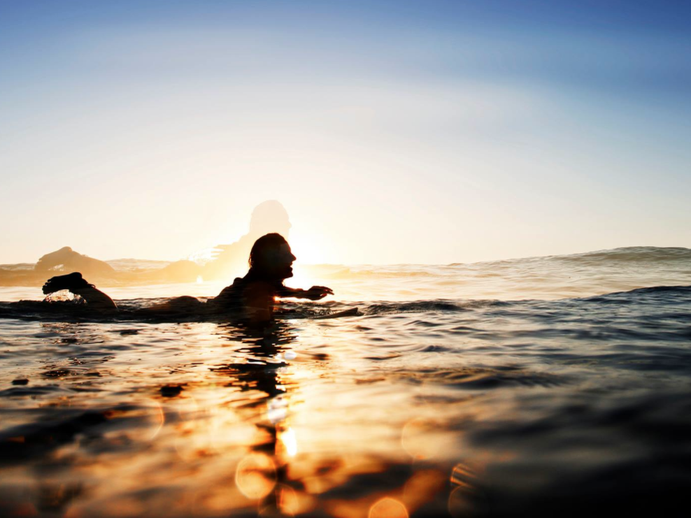 Sally Mac P. Hollytree photo