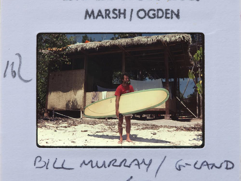 Bill Murray by John Ogden